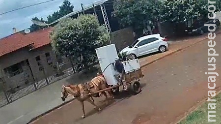 Vagabundos furtam igreja e fogem com geladeira em carroça em plena luz do dia Vagabundos furtam igreja e fogem com geladeira em carroça em plena luz do dia