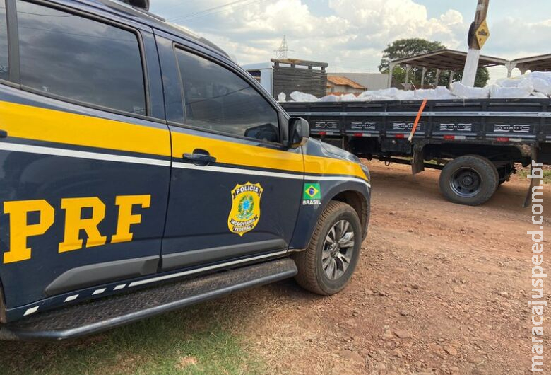 Ações conjuntas apreendem 5,4t de maconha e deixam prejuízo de quase R$ 12 milhões a traficantes Ações conjuntas apreendem 5,4t de maconha e deixam prejuízo de quase R$ 12 milhões a traficantes