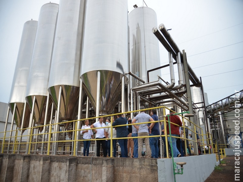 Campo Grande: Reconhecida modelo de negócios, Cervejaria Bamboa é apresentada a autoridades e grupo de empresários do Paraguai