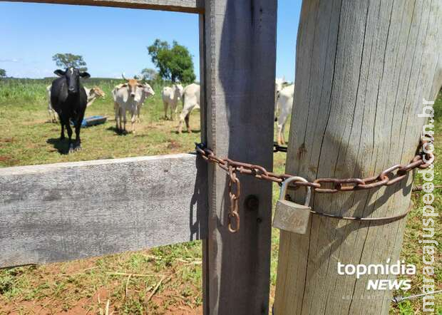 Casal é baleado e homem morre após briga em fazenda no Pantanal Casal é baleado e homem morre após briga em fazenda no Pantanal