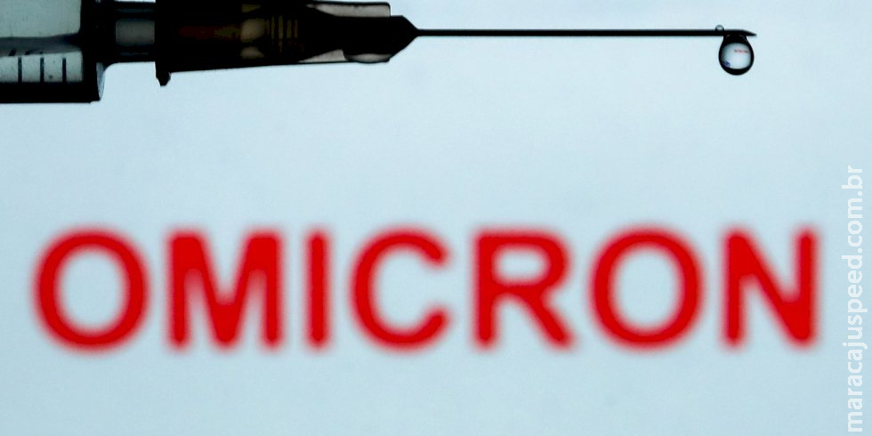 Descoberta de Ômicron em animais em Nova York gera preocupação Descoberta de Ômicron em animais em Nova York gera preocupação