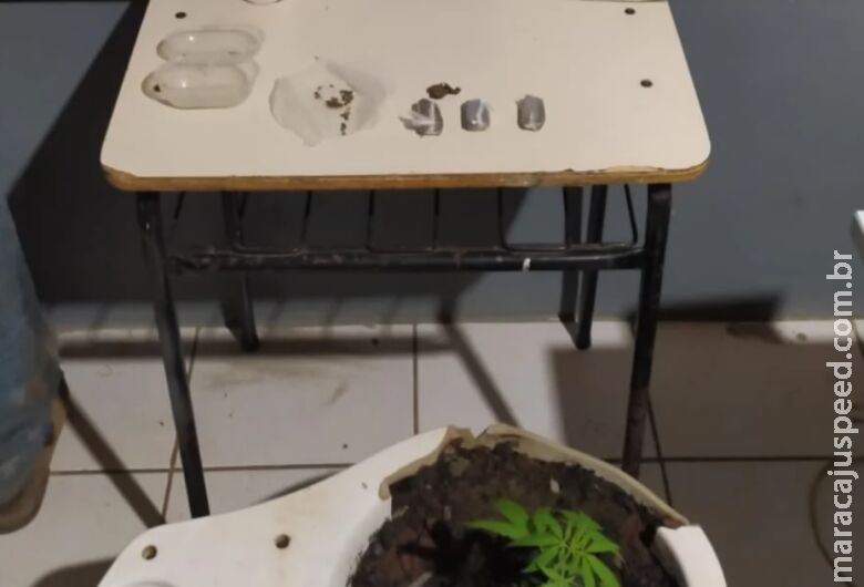 Dois homens são presos por tráfico de drogas Dois homens são presos por tráfico de drogas