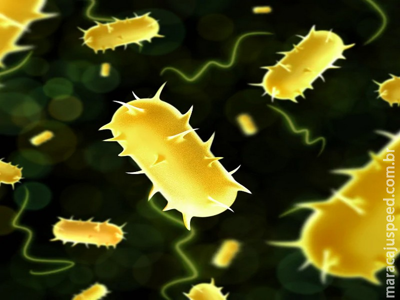 Estado registra um aumento de 55% em mortes por pneumonia Estado registra um aumento de 55% em mortes por pneumonia
