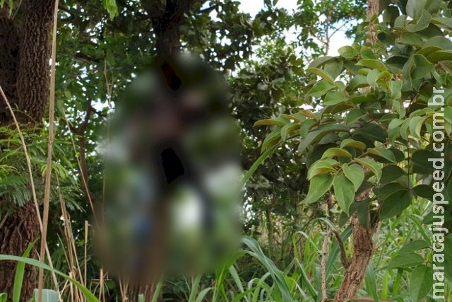 Homem é assassinado e tem corpo pendurado com arame farpado em árvore Homem é assassinado e tem corpo pendurado com arame farpado em árvore