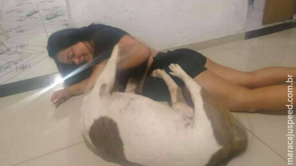 Homem mata cachorro com 21 facadas Homem mata cachorro com 21 facadas