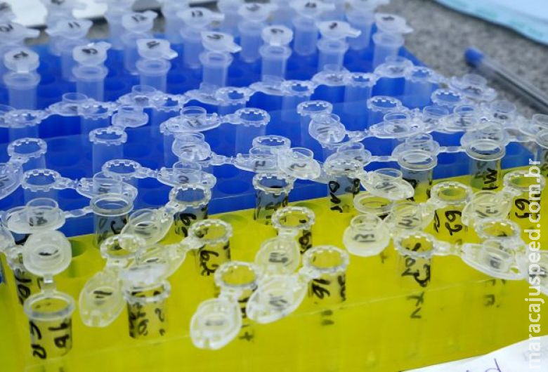 MS confirma mais de 3,5 mil casos de Covid e registra 17 novos óbitos MS confirma mais de 3,5 mil casos de Covid e registra 17 novos óbitos