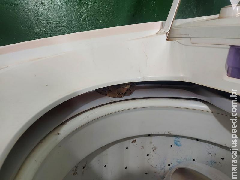 PMA de São Gabriel do Oeste captura jararaca peçonhenta dentro de máquina de lavar em Centro de Educação Infantil na cidade Rio Verde