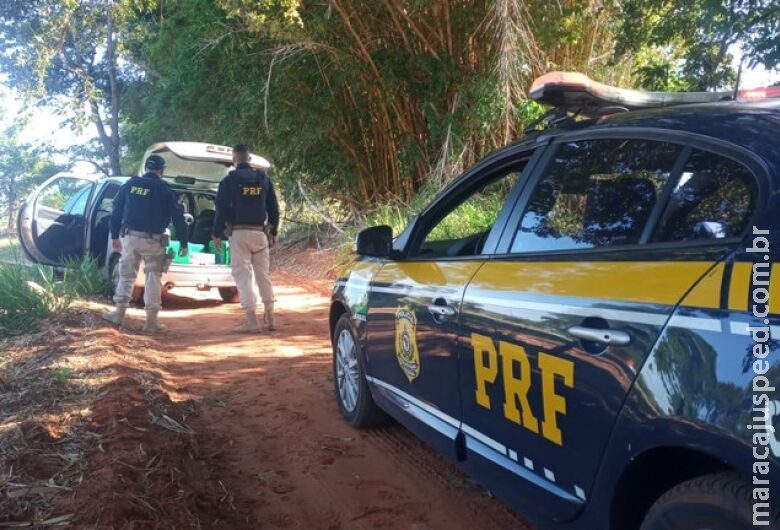 Polícia apreende maconha e skunk após perseguição no Sul do MS Polícia apreende maconha e skunk após perseguição no Sul do MS