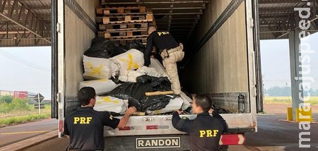 PRF apreende 1,5 tonelada de maconha em Ponta Porã