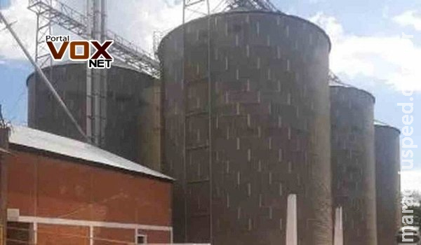 Trabalhadores paraguaios morrem soterrados após caírem em silo de soja Trabalhadores paraguaios morrem soterrados após caírem em silo de soja