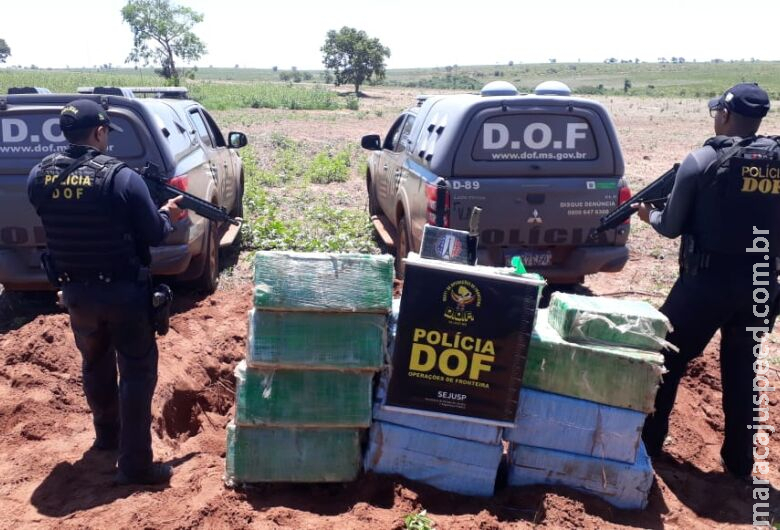Apreensões de cocaína aumentam mais de 1.100% em Mato Grosso do Sul Apreensões de cocaína aumentam mais de 1.100% em Mato Grosso do Sul