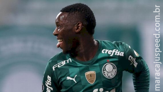 Botafogo acerta contratação de Patrick de Paula, do Palmeiras Botafogo acerta contratação de Patrick de Paula, do Palmeiras