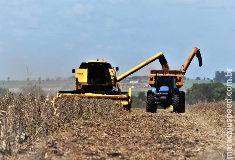 Brasil deve exportar quase 13 milhões de toneladas de soja em março Brasil deve exportar quase 13 milhões de toneladas de soja em março