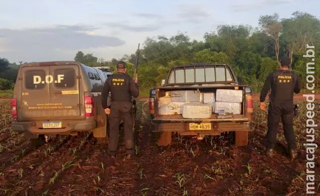 Cocaína que seria embarcada em avião é apreendida entre Caarapó e Laguna Cocaína que seria embarcada em avião é apreendida entre Caarapó e Laguna
