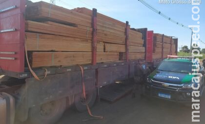 Empresa paranaense é autuada por transporte de carga de madeira ilegal em MS Empresa paranaense é autuada por transporte de carga de madeira ilegal em MS