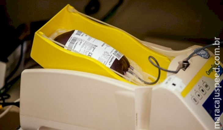 Estoques de sangue tipo O- e O+ seguem em situação crítica no Hemosul Estoques de sangue tipo O- e O+ seguem em situação crítica no Hemosul