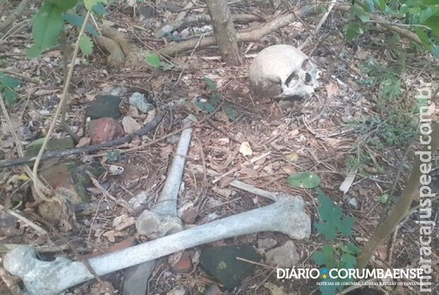 Homem acha crânio humano enquanto fazia cerca em área de mata em Corumbá Homem acha crânio humano enquanto fazia cerca em área de mata em Corumbá