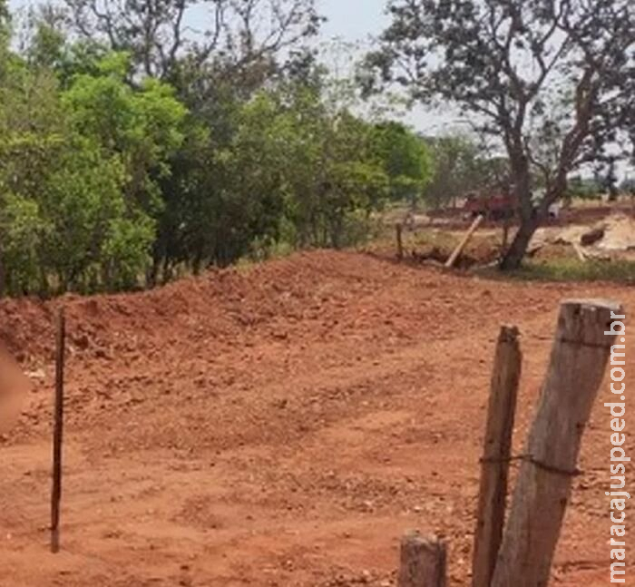 Homem morre ao salvar irmão de ataque de abelhas em Costa Rica 