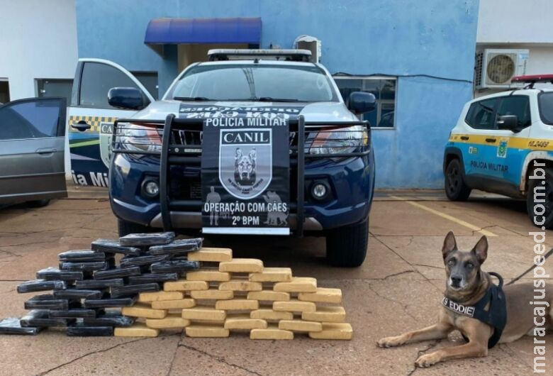 Indivíduos são presos com drogas na BR-158 Indivíduos são presos com drogas na BR-158