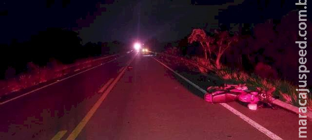 Motociclista morre depois de atropelar anta na MS-395 em Anaurilândia Motociclista morre depois de atropelar anta na MS-395 em Anaurilândia
