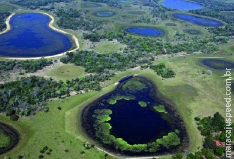 Municípios têm até quinta para garantir recursos do ICMS Ecológico Municípios têm até quinta para garantir recursos do ICMS Ecológico
