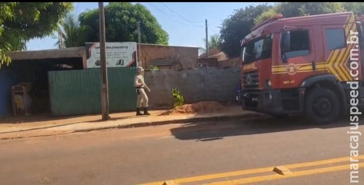 Onça invade residência em cidade de MS Onça invade residência em cidade de MS