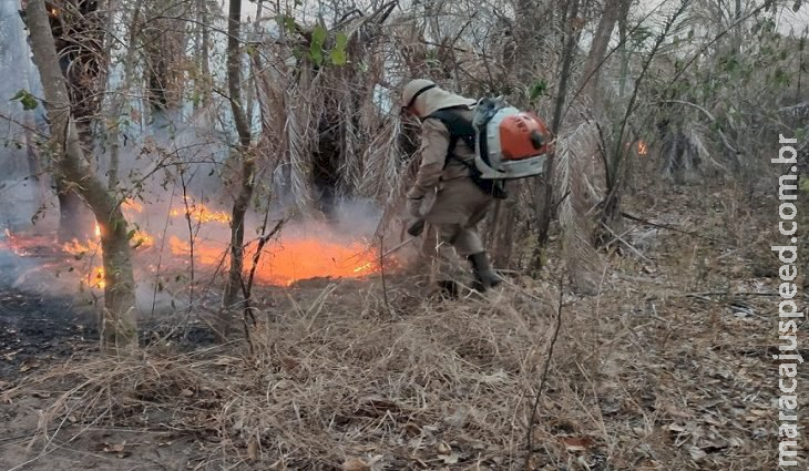 Para prevenção de incêndios, Governo Federal declara estado de emergência ambiental em MS