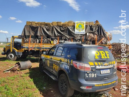 PRF apreende 3,1 toneladas de maconha em Dourados