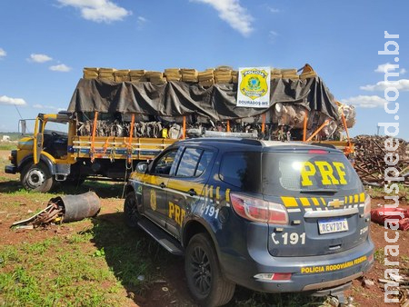 PRF apreende 3,1 toneladas de maconha em Dourados PRF apreende 3,1 toneladas de maconha em Dourados