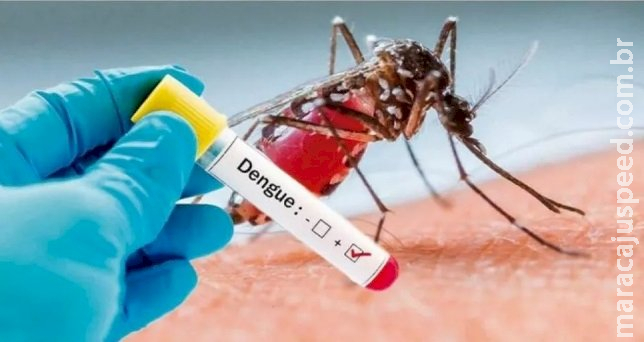 Saúde confirma 263 casos de dengue em Mato Grosso do Sul Saúde confirma 263 casos de dengue em Mato Grosso do Sul