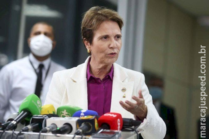 Tereza Cristina afirma que preço dos alimentos vão aumentar no Brasil Tereza Cristina afirma que preço dos alimentos vão aumentar no Brasil