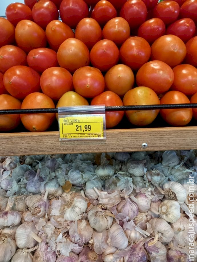 Tomate dispara e chega a R$ 21,99 o quilo nos supermercados Tomate dispara e chega a R$ 21,99 o quilo nos supermercados