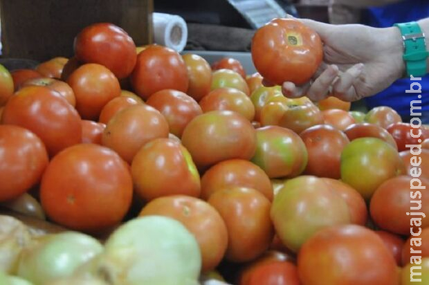 Tomate está com preço de carne e assusta clientes em Campo Grande