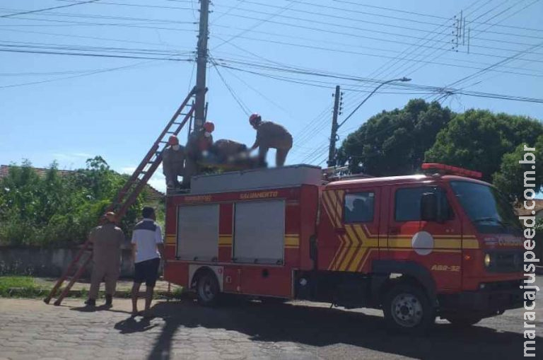 Campo-grandense morre eletrocutado enquanto trabalhava em cidade no interior de MS Campo-grandense morre eletrocutado enquanto trabalhava em cidade no interior de MS