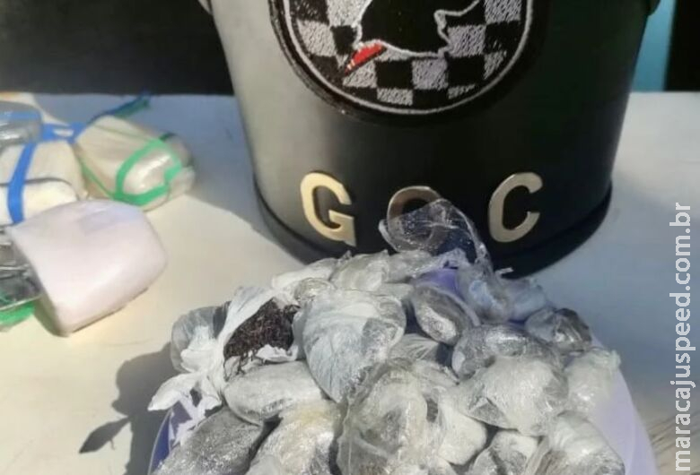 Cão farejador encontra droga em colchão na UNEI