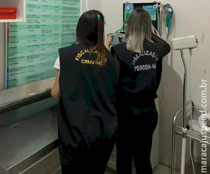Clínica veterinária é interditada por uma série de irregularidades Clínica veterinária é interditada por uma série de irregularidades