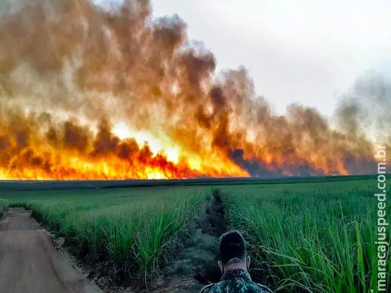 Combate a incêndios florestais em MS terá reforço de equipes temporárias de brigadistas