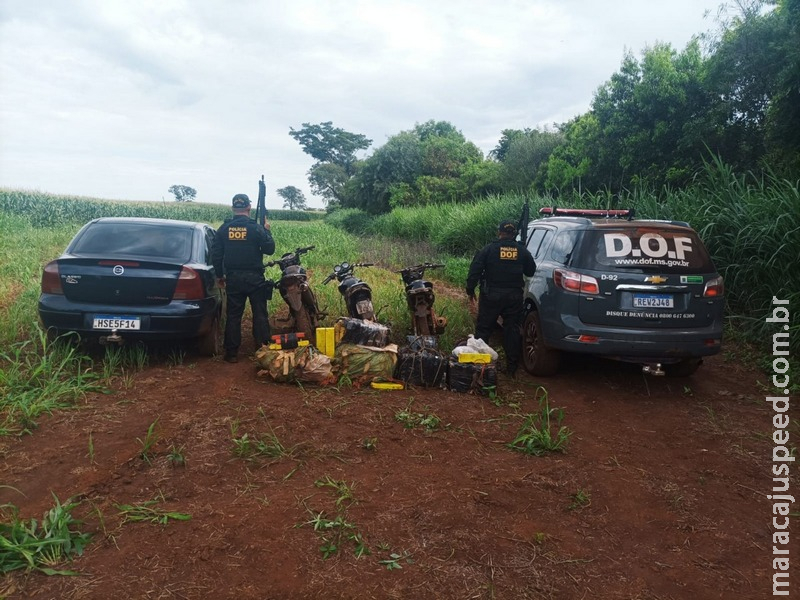 DOF apreende mais de 232 quilos de droga em meio a uma mata em Laguna Carapã DOF apreende mais de 232 quilos de droga em meio a uma mata em Laguna Carapã