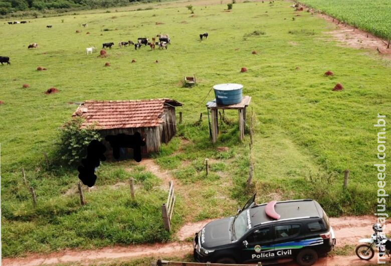 Ladrão de gado é preso e polícia recupera sete animais em Batayporã Ladrão de gado é preso e polícia recupera sete animais em Batayporã