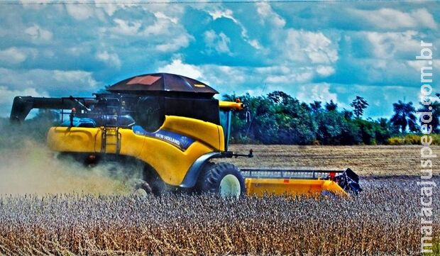 MS lidera crescimento no PIB entre os estados do agronegócio MS lidera crescimento no PIB entre os estados do agronegócio