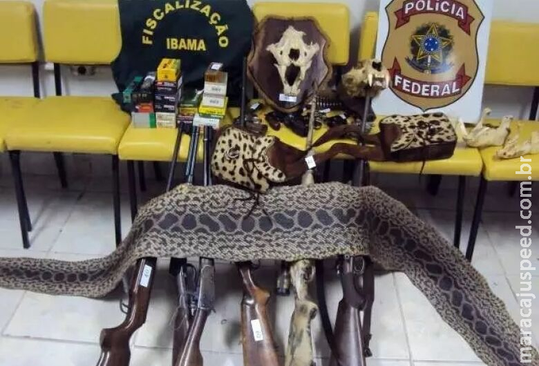 Pecuarista paga R$ 110 mil por crime de caça a onças no Pantanal 