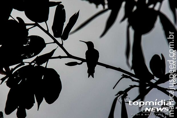 Primeiro dia de abril será frio, com baixas temperaturas em MS Primeiro dia de abril será frio, com baixas temperaturas em MS