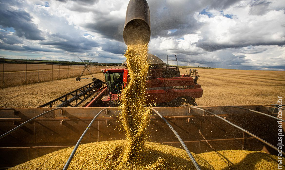 Produção agrícola deve atingir 269,3 milhões de toneladas, diz Conab Produção agrícola deve atingir 269,3 milhões de toneladas, diz Conab