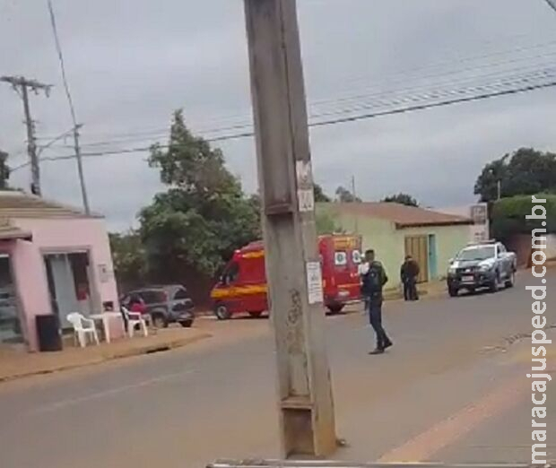 Abelhas ferem criança, matam cachorro e confusão é grande no Portal Caiobá Abelhas ferem criança, matam cachorro e confusão é grande no Portal Caiobá