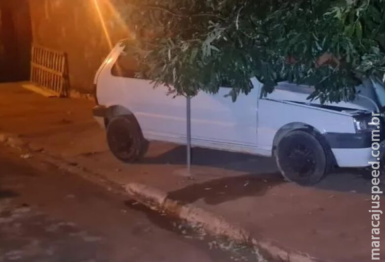 Bêbado, condutor bate em árvore ao sair para comprar mais cervejas Bêbado, condutor bate em árvore ao sair para comprar mais cervejas
