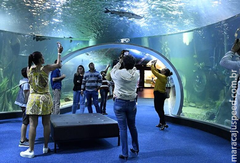 Bioparque Pantanal abre cadastro de visitas para o mês de junho Bioparque Pantanal abre cadastro de visitas para o mês de junho