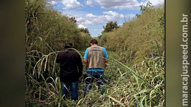 Corpo de mulher é encontrado em matagal de Chapadão do Sul Corpo de mulher é encontrado em matagal de Chapadão do Sul