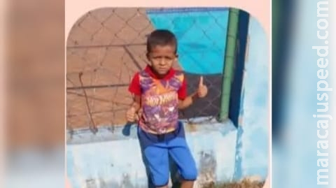 Criança de 7 anos morre após picada de escorpião; 2º caso em MS