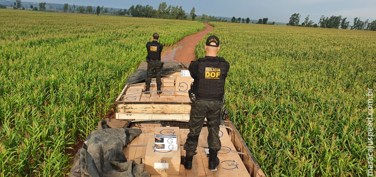 DOF apreende 50 mil pacotes de cigarros contrabandeados do Paraguai em Itaquiraí DOF apreende 50 mil pacotes de cigarros contrabandeados do Paraguai em Itaquiraí