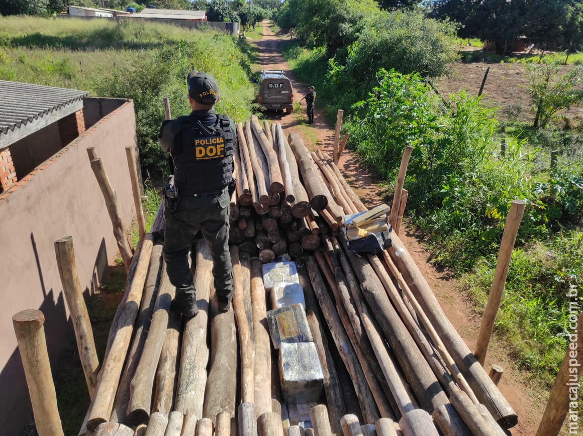 DOF apreende carga milionária de droga em meio carregamento de madeira em Ponta Porã